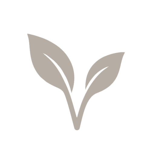Vegan